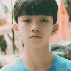 Liu Ruogu
