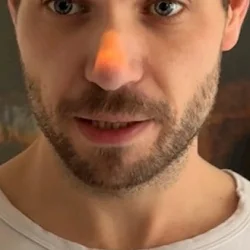 Henrik Vellier