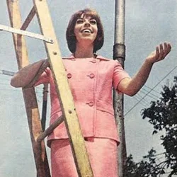 Judy Knaiz