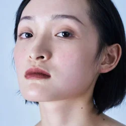 Liu Baisha