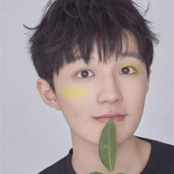 Xiong Wenwen