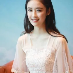 Yang Qiru