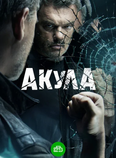 Акула