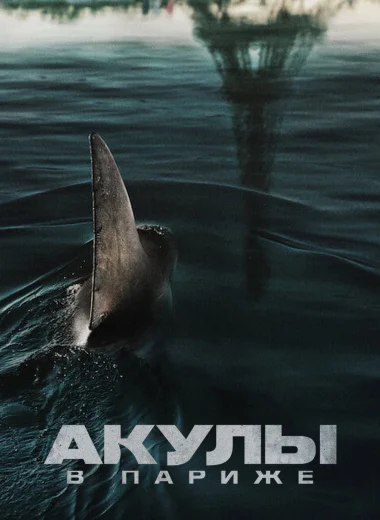 Акулы в Париже