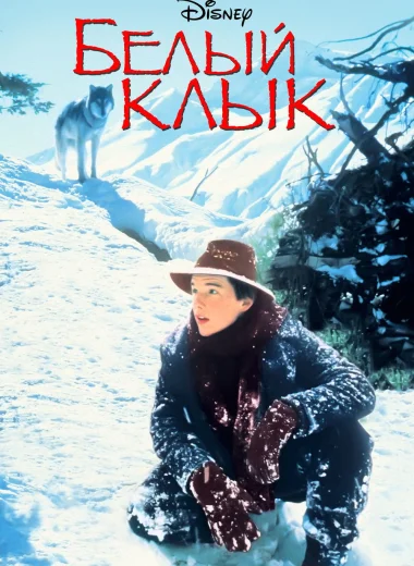 Белый клык