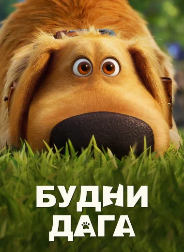 Будни Дага
