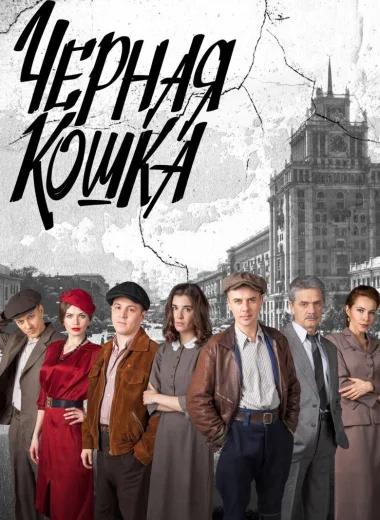 Чёрная кошка