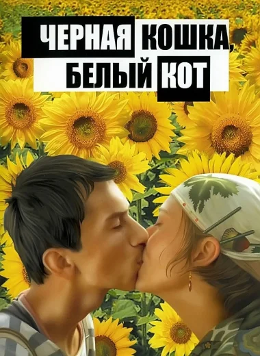 Чёрная кошка, белый кот