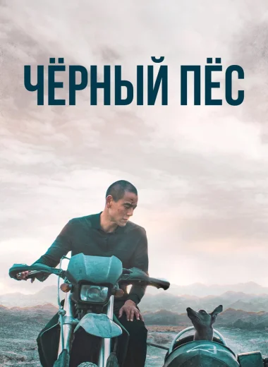 Чёрный пёс