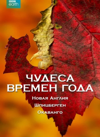 Чудеса времён года