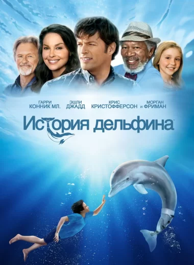 История дельфина