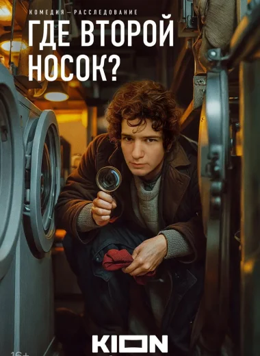 Где второй носок?