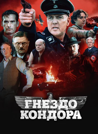 Гнездо кондора