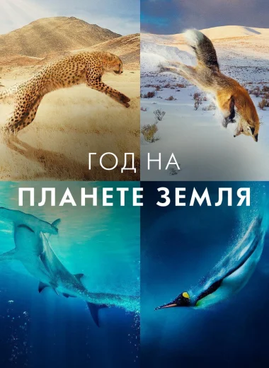 Год на планете Земля