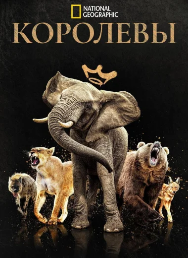 Королевы