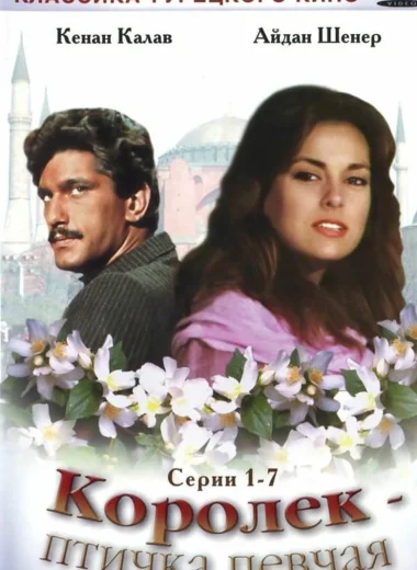 Королёк – птичка певчая