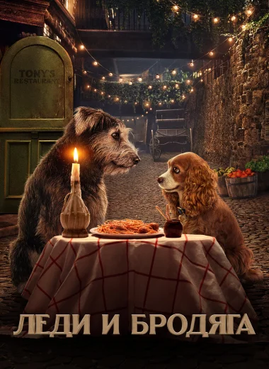 Леди и Бродяга