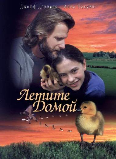 Летите домой
