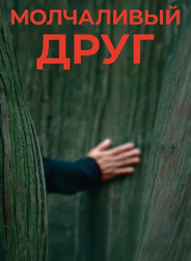 Молчаливый друг