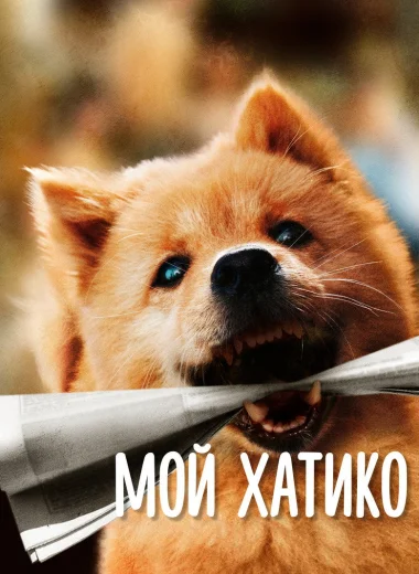 Мой Хатико