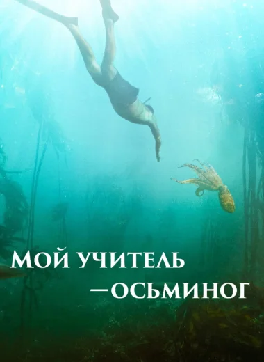 Мой учитель – осьминог