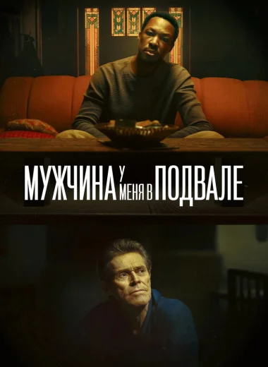Мужчина у меня в подвале