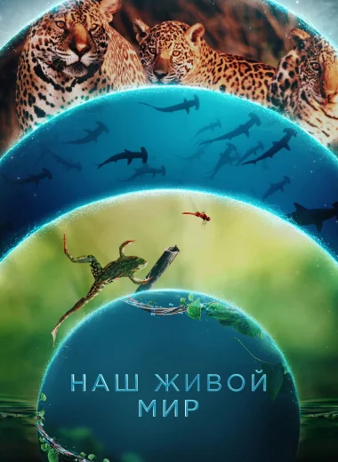Наш живой мир