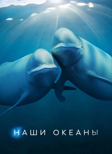 Наши океаны