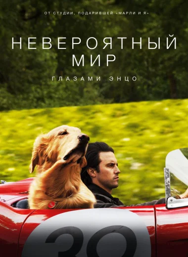 Невероятный мир глазами Энцо