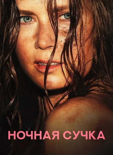 Ночная сучка