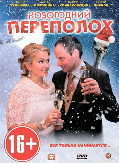 Новогодний переполох