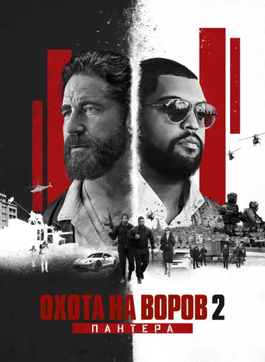 Охота на воров 2: Пантера
