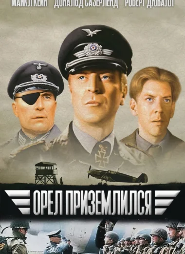 Орёл приземлился