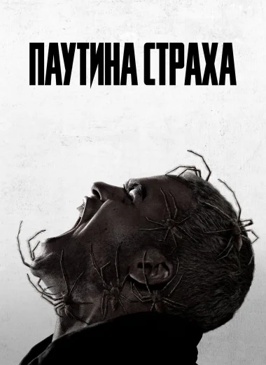 Паутина страха