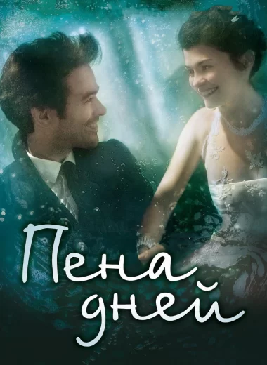 Пена дней