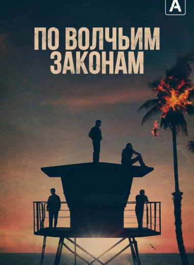 По волчьим законам
