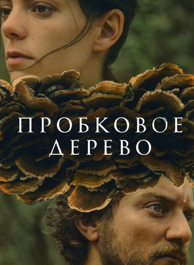 Пробковое дерево