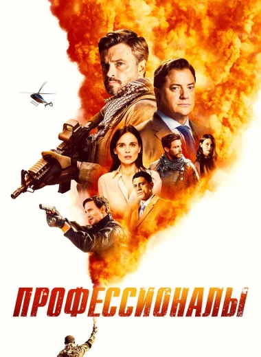 Профессионалы