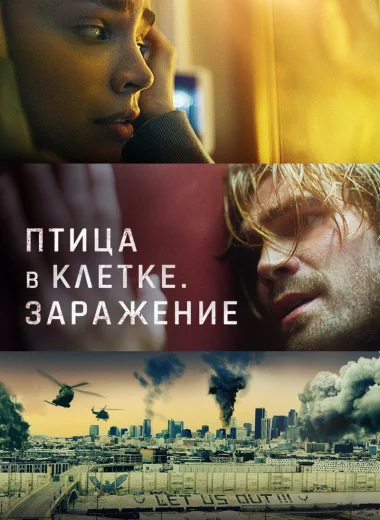 Птица в клетке. Заражение