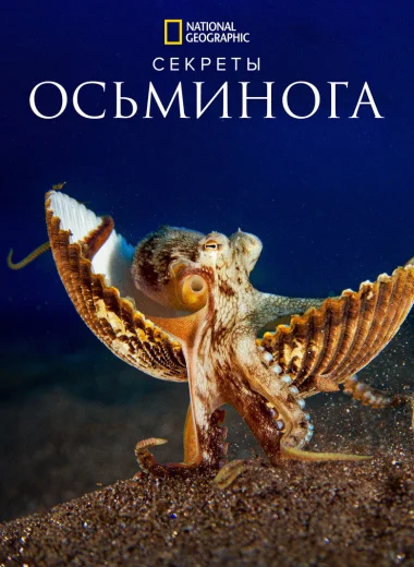 Секреты осьминога