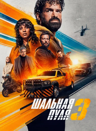 Шальная пуля 3
