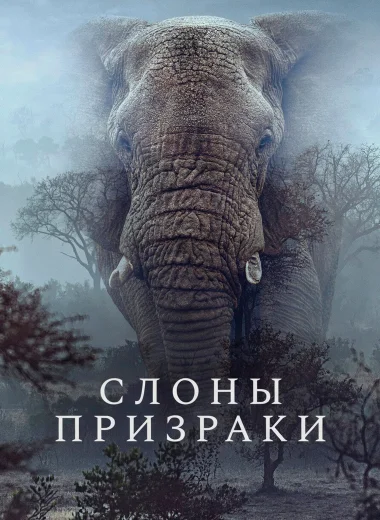 Слоны-призраки