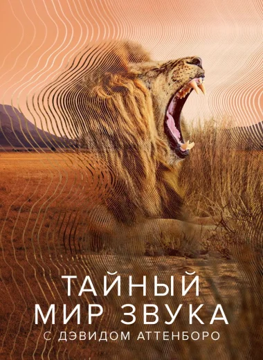 Тайный мир звука с Дэвидом Аттенборо