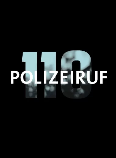 Телефон полиции – 110