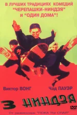 Три ниндзя