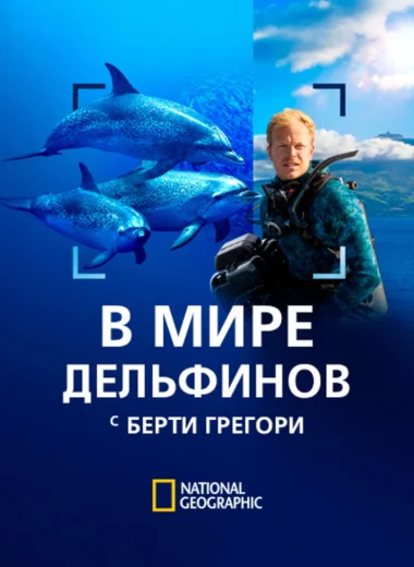 В мире дельфинов с Берти Грегори