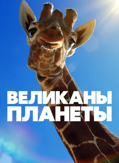 Великаны планеты
