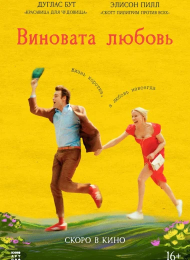 Виновата любовь