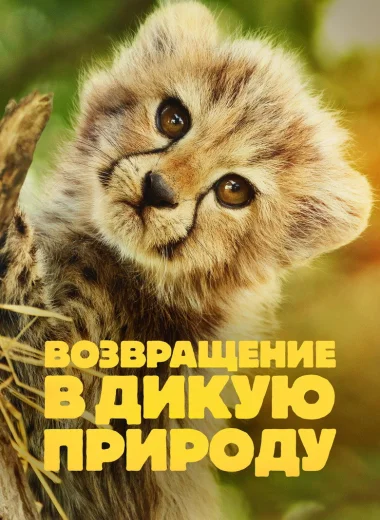 Возвращение в дикую природу