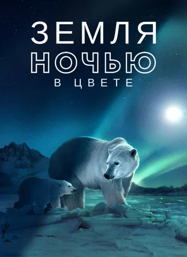 Земля ночью в цвете